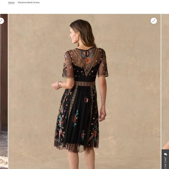 Roxanna Mesh Dress - Picture 4 of 7